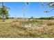 Peaceful pond view with the home in the background, framed by trees and a serene sky at 6171 Swiss Blvd, Punta Gorda, FL 33982