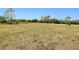 Sprawling yard with lush green grass stretching across the property at 6171 Swiss Blvd, Punta Gorda, FL 33982