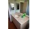 Bathroom featuring a white vanity with a mirror, and wood-look flooring at 8152 Robert St, Englewood, FL 34224