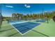 Enjoy the community pickleball courts with beautiful landscaping and lake views under a clear blue sky at 7049 Waterford Pkwy, Punta Gorda, FL 33950
