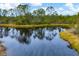 Picturesque view of a calm pond with clear reflections, surrounded by lush vegetation and mature trees at 2639 Hobblebrush Dr, North Port, FL 34289