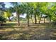 Spacious backyard dotted with palm trees and green spaces, enclosed by a secure fenced perimeter at 27385 Neaptide Dr, Punta Gorda, FL 33983