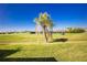 Scenic golf course view featuring lush green grass, a tranquil pond, and a lone palm tree at 1640 Atares Dr # 21, Punta Gorda, FL 33950