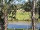 Picturesque view of a river surrounded by trees and lush green vegetation, showcasing natural scenery at 1790 New London St, North Port, FL 34288