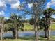 Picturesque backyard view featuring lush greenery, a serene pond, framed by hardwood and palm trees at 1818 New London St, North Port, FL 34288