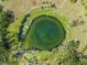 Overhead view of a natural spring surrounded by grassy areas and trees, with people swimming and sunbathing at 1022 S Lavina St, North Port, FL 34286