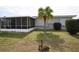 Lawn and the back of the house featuring a screen porch, tropical tree, and trimmed bushes at 21422 Mallory Ave, Port Charlotte, FL 33952