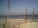 Picturesque beach scene with sea oats and the ocean at 15001 Appleton Blvd, Port Charlotte, FL 33981
