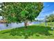 Peaceful backyard with a large tree and canal views at 544 Lindley Ter, Port Charlotte, FL 33952