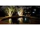 A relaxing pool with palm trees and lights to enjoy during the summer nights at 229 Rotonda E Blvd, Rotonda West, FL 33947