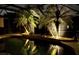 A relaxing pool with palm trees and lights to enjoy during the summer nights at 229 Rotonda E Blvd, Rotonda West, FL 33947