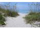 Sandy beach access path with lush dune grass leading to the ocean at 5160 Farewell St, Port Charlotte, FL 33981