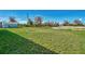 Large grassy backyard with shed at 7381 Thomas St, Englewood, FL 34224