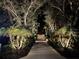 Night shot of the driveway lined with trees and lush landscaping with landscape lighting at 3117 Silkwood Ln, Port Charlotte, FL 33953