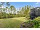 Landscaped backyard with spacious lawn and privacy at 2759 Lavandula Ct, North Port, FL 34289