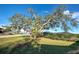 Neighborhood view with large tree and pool at 1951 Greenlawn Dr, Englewood, FL 34223