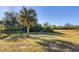 Large backyard with mature trees and lush landscaping at 119 White Pine Dr, Rotonda West, FL 33947