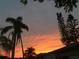 Beautiful sunset over palm trees and houses at 13278 Carter Ave, Port Charlotte, FL 33981