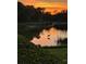 Serene pond view at sunset with bird silhouette at 13376 Creekside Ln, Port Charlotte, FL 33953