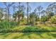 Lush natural landscape with tall pines and palm trees at 17 Par View Pl, Rotonda West, FL 33947