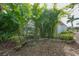 Landscaped backyard with stone pathway and lush greenery at 26266 Barcelos Ct, Punta Gorda, FL 33983