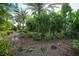 Landscaped backyard with stone pathway and tropical plants at 26266 Barcelos Ct, Punta Gorda, FL 33983