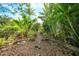 Lush tropical landscaping and stone pathway at 26266 Barcelos Ct, Punta Gorda, FL 33983