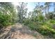 Mature landscaping with a natural path at 272 Cedar St, Englewood, FL 34223