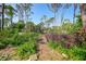 Pathway through a lush, natural landscape at 272 Cedar St, Englewood, FL 34223