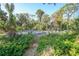 Landscaped area with a ground cover at 272 Cedar St, Englewood, FL 34223