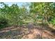 Lush backyard landscape with a natural path at 272 Cedar St, Englewood, FL 34223