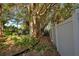 Mature trees and privacy fence border a garden path at 421 Riviera St, Venice, FL 34285