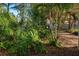 Tropical plants and trees fill the backyard landscape at 421 Riviera St, Venice, FL 34285