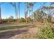 View of natural Florida landscape with mature trees at 6800 Placida Rd # 165, Englewood, FL 34224