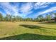 Large lot with a grassy area, mature trees, and natural surroundings at 9000 Falcon Ct, Venice, FL 34293