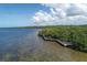 Elevated wooden boardwalk along the shoreline in Lemon Bay's park under a cloudy sky at 1035 Oleander St, Englewood, FL 34223