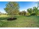 Landscaped backyard with mature trees and green grass at 226 Rotonda N Blvd, Rotonda West, FL 33947