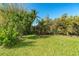Lush backyard with tropical plants and grassy area at 226 Rotonda N Blvd, Rotonda West, FL 33947