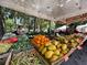 Bustling farmers market with fresh produce at 660 Linden Dr, Englewood, FL 34223