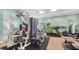 Well-equipped fitness center with various exercise machines at 10045 Links Ln # 203, Rotonda West, FL 33947