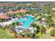 Large community pool surrounded by palm trees at 10705 Tarflower Dr, Venice, FL 34293