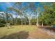 Wooded backyard with grassy area at 1651 Maria St, Englewood, FL 34223