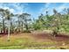 View of a backyard with lush greenery and trees at 4260 Placida Rd # 18C, Englewood, FL 34224