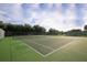 Outdoor tennis court with a new green surface and tall net with a backdrop of trees at 429 Rotonda Cir, Rotonda West, FL 33947