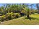 Mature palm trees and lush green grass fill the backyard at 62 Marker Rd, Rotonda West, FL 33947