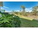 Spacious backyard with grassy lawn and lush tropical plants at 8960 Scallop Way, Placida, FL 33946