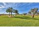 Landscaped backyard featuring lush lawn and mature palm trees at 1 Calm Ct, Placida, FL 33946