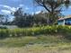 Landscaped front yard with lush greenery and a white fence at 2933 Vizza Ln, North Port, FL 34286