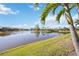 Peaceful lake view with lush green grass and palm trees at 484 Casalino Dr, Nokomis, FL 34275