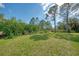 Large backyard with grassy area and natural vegetation at 1312 Wasilla St, North Port, FL 34291